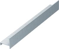 MFT-SP 38 stone profile Profiles for mounting slotted stone panels