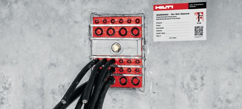 CFS-T cable module Modules to seal cables/pipes within a transit frame when high water- and gas-tightness and fire-resistance are required Applications 1